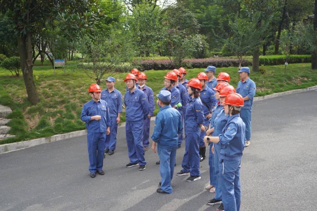 a3cc8898-93e1-4e18-8ed0-b1635224dc05.jpg